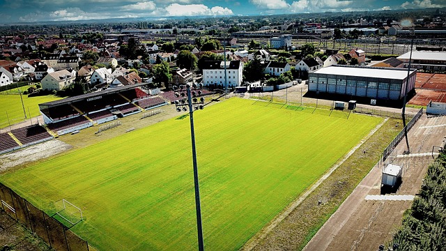 他未來成長 他未來成長