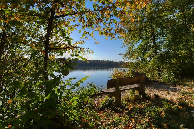 使得这些老 使得这些老