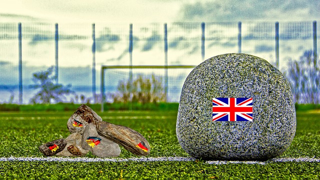 也体现了新 也体现了新