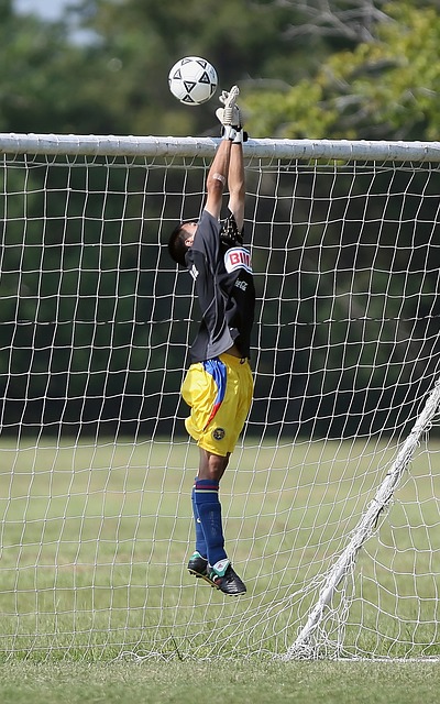 師團隊開發 師團隊開發