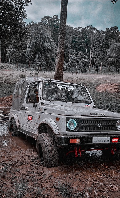 术的较量 术的较量